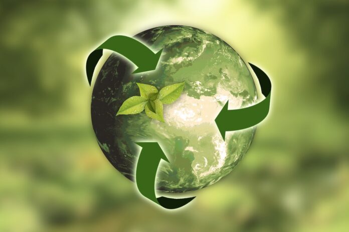 PBSA News goes green and becomes a Carbon Neutral Plus company PBSA News goes green and becomes a Carbon Neutral Plus company