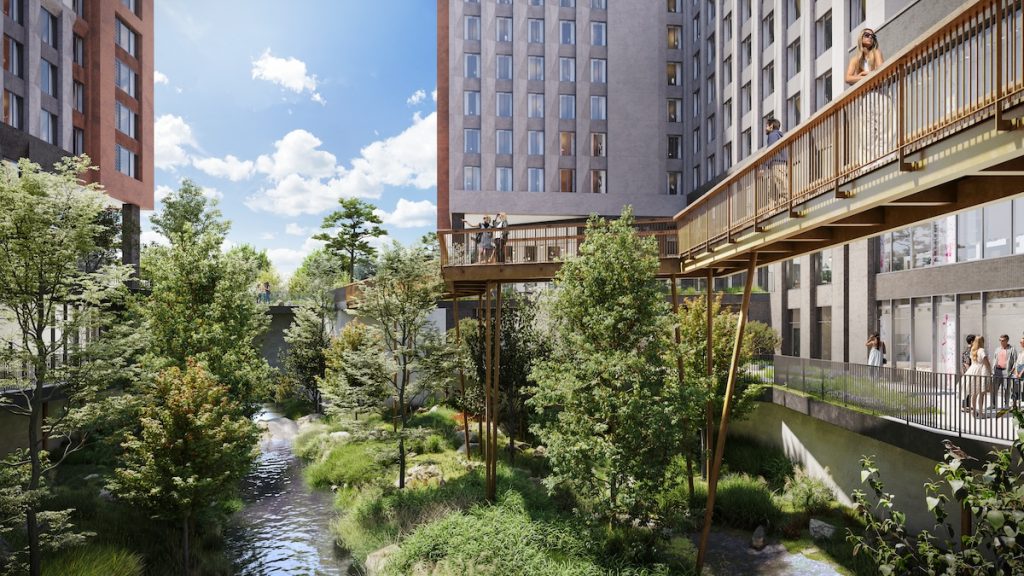Treetop walk ‘floating’ over the river | PBSA News