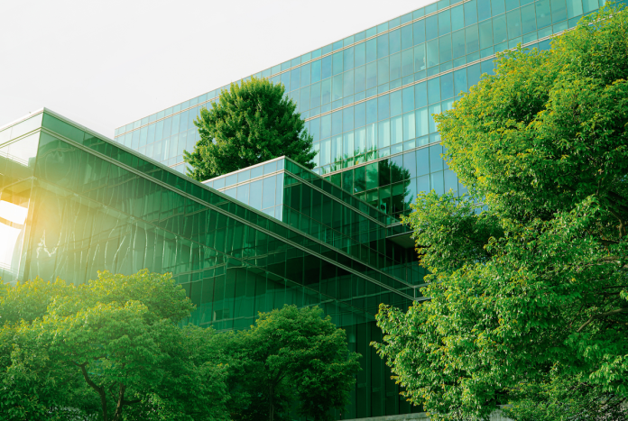 NetZero